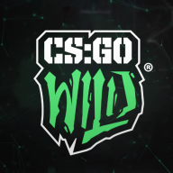 CSGOWild