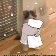 GaboBag