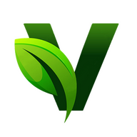 VineStudios