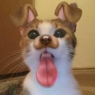 Imm