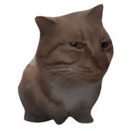 Caxseii