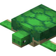TurtleCreates