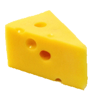 Cheese