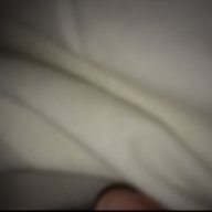 Zipayo_o