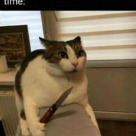 lsheasel