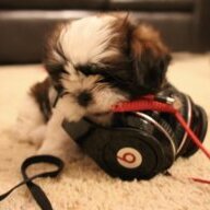 BeatSStudio