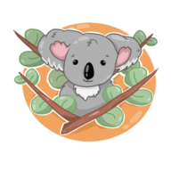 Zeddy