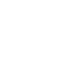 Zin.i