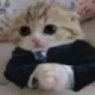 Dunebruh