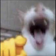 BinosJ