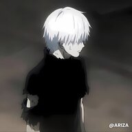 Ariza241