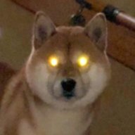 Foxvific