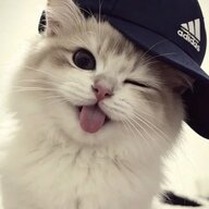 aceeyt