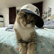 einfachhoodie