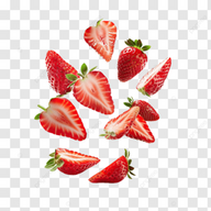 _FerrousScc