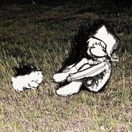 NcN4304