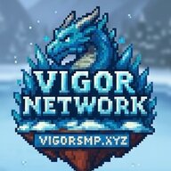 VigorNetwork