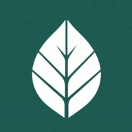 Leafy Studio