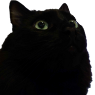 P0ki