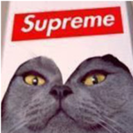 j0es