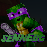 SenneDC123