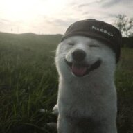 sanderhd