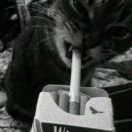 NYRO_