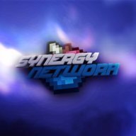 Synergy Network