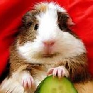 ABluntCoconut