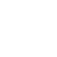 YTheWorld