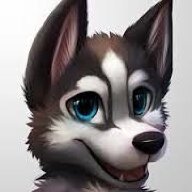 SilverHuskey