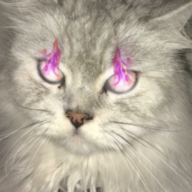oxo