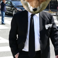 FoxelVox
