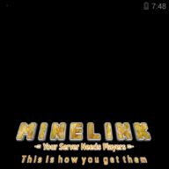 MineLink