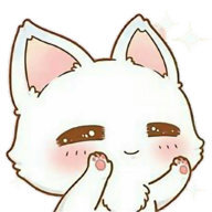 Nokawa