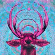 Hallucinogenics