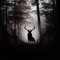 Fall_Of_Shadows