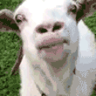 Senvoz