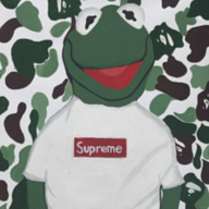 Toads