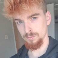 DavidDaDominant
