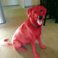 TheRedDog
