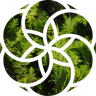 LeafySeaRabbit