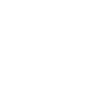 Sy