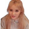 Trype