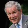 Bush