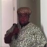WheenieHut Jr