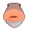 TheCafilterFish