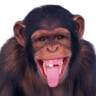 DJJonBoyGAMING