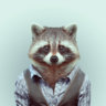 SpiffyRaccoon