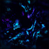 BluLightShow